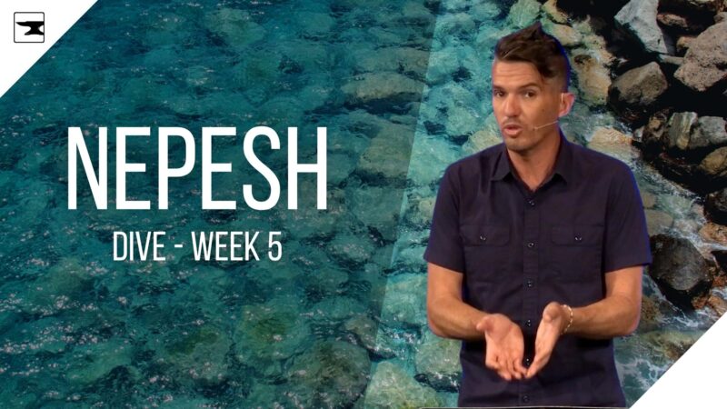 Nepesh - Dive, Week 5