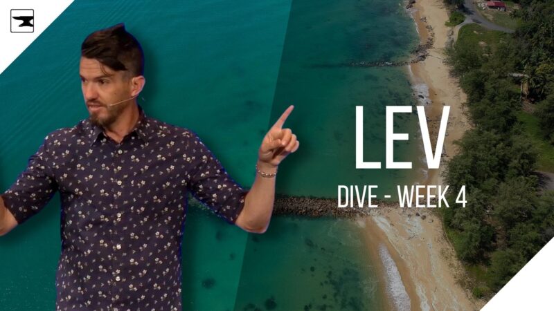 Lev - Dive, Week 4