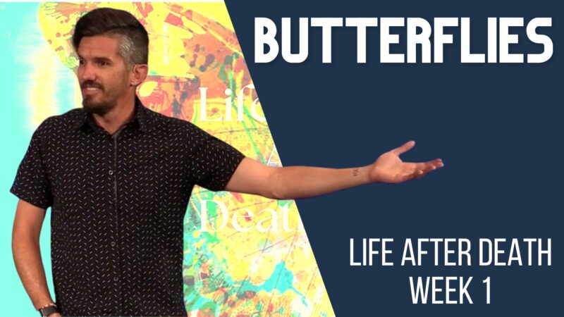Butterflies - Life After Death, week 1