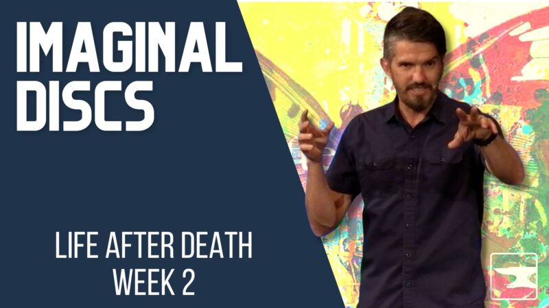 Imaginal Discs - Life After Death, week 2