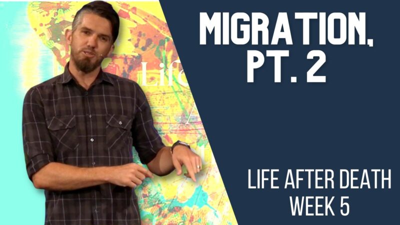 Migration, pt. 2 - Life After Death, week 5