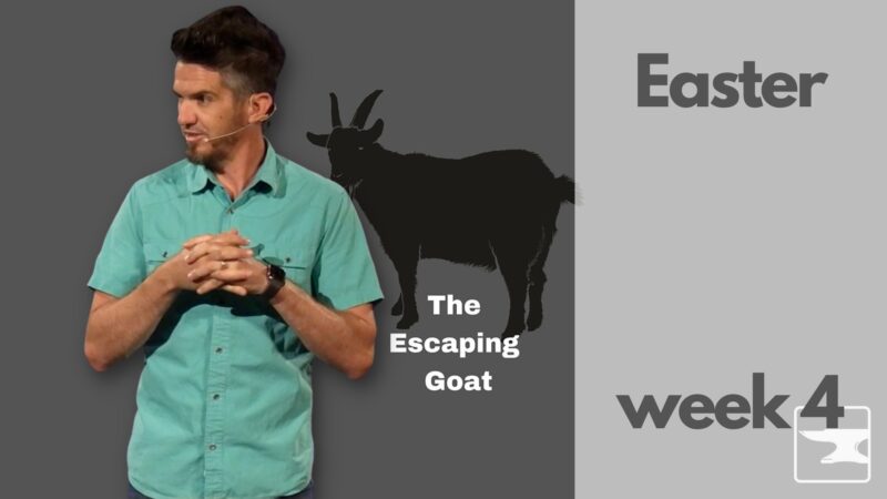 Easter - The Escaping Goat, week 4